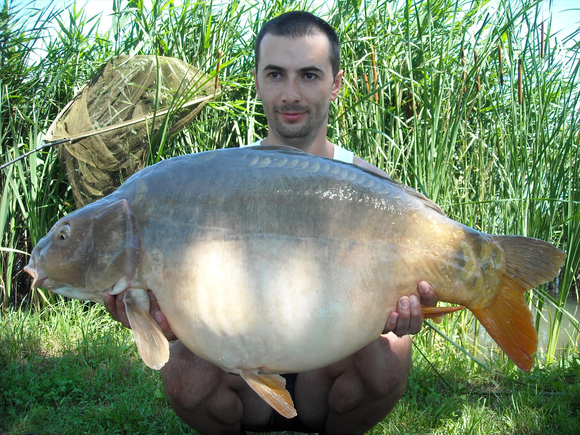 Nagykallo 2012 - dscn0146.JPG